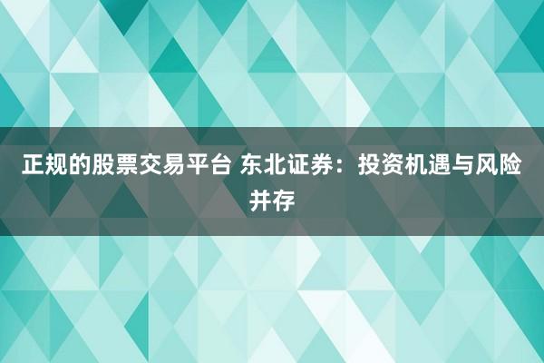 正规的股票交易平台 东北证券：投资机遇与风险并存