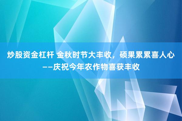 炒股资金杠杆 金秋时节大丰收，硕果累累喜人心——庆祝今年农作物喜获丰收