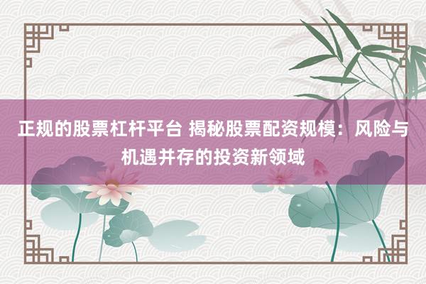 正规的股票杠杆平台 揭秘股票配资规模：风险与机遇并存的投资新领域