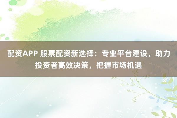 配资APP 股票配资新选择：专业平台建设，助力投资者高效决策，把握市场机遇