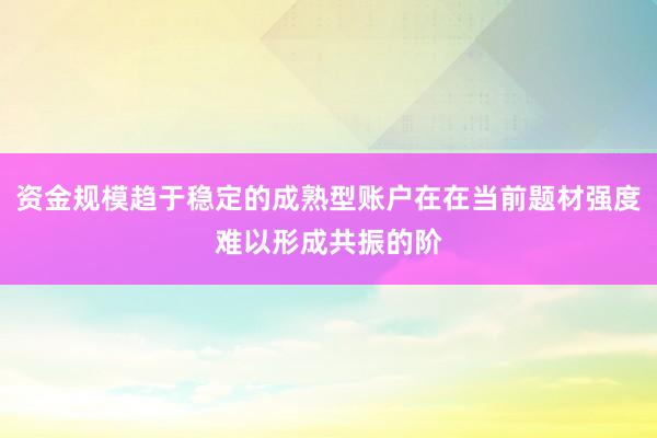 资金规模趋于稳定的成熟型账户在在当前题材强度难以形成共振的阶